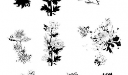 菊花漫画,笑谈生活，描绘人间百态